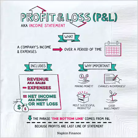 Profit and Loss Statement Infographics